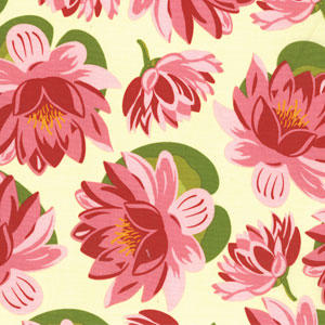 Blush Water Lily.jpg